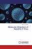 Molecular Detection of Hepatitis E Virus