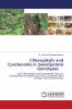 Chlorophylls and Carotenoids in Sweetpotato Genotypes