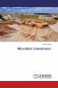 Microbial Limestones