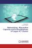 Networking Absorptive Capacity and Innovativeness of Lagos ICT Cluster