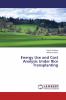 Energy Use and Cost Analysis Under Rice Transplanting