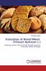 Evaluation of Bread Wheat (Triticum Aestivum L.)