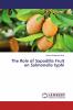 The Role of Sapodilla Fruit on Salmonella typhi