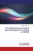 The effectiveness of Adult Basic Education & Training at RAFAL