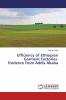 Efficiency of Ethiopian Garment Factories: Evidence from Addis Ababa