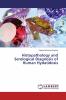 Histopathology and Serological Diagnosis of Human Hydatidosis
