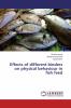 Effects of different binders on physical behaviour in fish feed