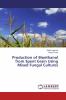 Production of Bioethanol from Spent Grain Using Mixed Fungal Cultures