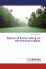 Nature of forces acting on the terrestrial globe