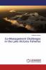 Co-Management Challenges in the Lake Victoria Fisheries