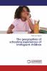 The geographies of schooling experiences of immigrant children