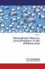Atmospheric Mercury concentrations in the offshore area