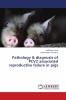 Pathology & diagnosis of PCV2 associated reproductive failure in pigs