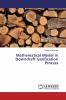 Mathematical Model in Downdraft Gasification Process