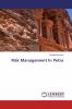 Risk Management In Petra