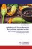 Isolation of B-carotenoids for yellow pigmentation