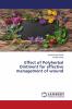 Effect of Polyherbal Ointment for effective management of wound
