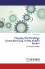 Closing the Strategy Execution Gap in the Public Sector: A Conceptual Model