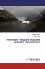 Minimally invasive bonded esthetic restorations
