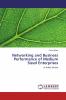 Networking and Business Performance of Medium Sized Enterprises