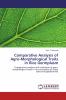 Comparative Analysis of Agro-Morphological Traits in Rice Germplasm