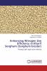 Enhancing Nitrogen Use Efficiency in Kharif Sorghum (Sorghum bicolor)