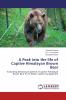 A Peak into the life of Captive Himalayan Brown Bear
