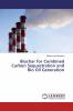 Biochar for Combined Carbon Sequestration and Bio Oil Generation