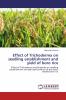 Effect of Trichoderma on seedling establishment and yield of boro rice