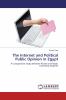 The Internet and Political Public Opinion in Egypt