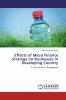 Effects of Micro Finance Strategy on Businesses in Developing Country