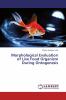 Morphological Evaluation of Live Food Organism During Ontogenesis