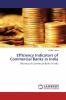 Efficiency Indicators of Commercial Banks in India