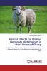 Herbal Effects on Plasma Nutrients Metabolism in Heat Stressed Sheep