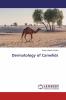Dermatology of Camelids
