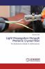 Light Propagation through Photonic Crystal Fiber