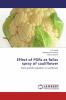 Effect of PGRs as foliar spray of cauliflower