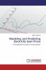 Modeling and Predicting Electricity Spot Prices