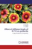 Effect of different levels of N P K on gaillardia