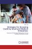 Strategies for Accessing Credit by Small and Medium Enterprises: