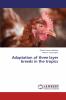 Adaptation of three layer breeds in the tropics