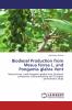 Biodiesel Production from Mesua ferrea L. and Pongamia glabra Vent