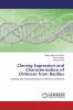 Cloning Expression and Characterization of Chitinase from Bacillus