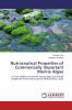 Nutraceutical Properties of Commercially Important Marine Algae