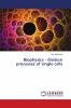 Biophysics - division processes of single cells
