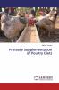 Protease Supplementation of Poultry Diets