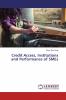 Credit Access Institutions and Performance of SMEs
