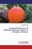 Varietal Preference of Whitefly (Bemisia Tabaci) in Pumpkin Cultivars