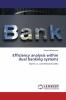 Efficiency analysis within dual banking systems