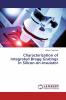 Characterization of Integrated Bragg Gratings In Silicon-on-Insulator